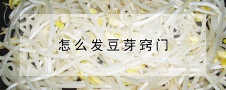 怎么发豆芽窍门,第1图