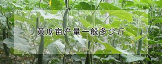 黄瓜亩产量一般多少斤,第1图