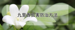 九里香虫害防治方法,第1图