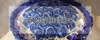 蓝色妖姬花语33朵,第1图