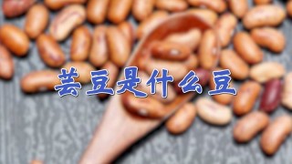 芸豆是什么豆,第1图