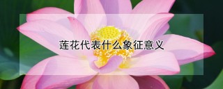 莲花代表什么象征意义,第1图