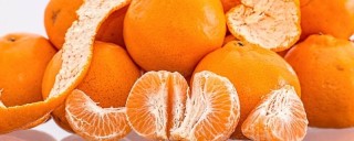 橘子盆栽的寓意,第1图