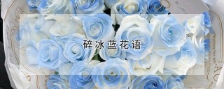 碎冰蓝花语,第1图