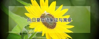 向日葵花语象征与寓意,第1图