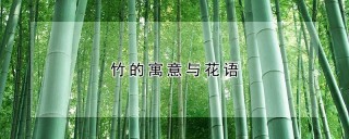 竹的寓意与花语,第1图