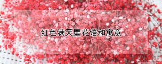 红色满天星花语和寓意,第1图