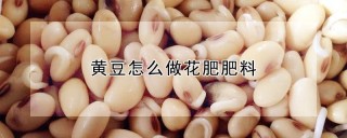 黄豆怎么做花肥肥料,第1图