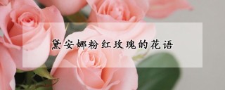 黛安娜粉红玫瑰的花语,第1图