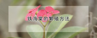 铁海棠的繁殖方法,第1图