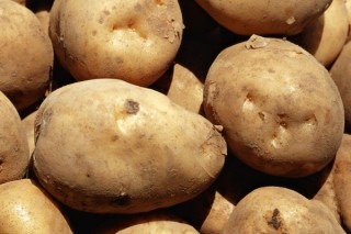 土豆管理和增产方法,第2图