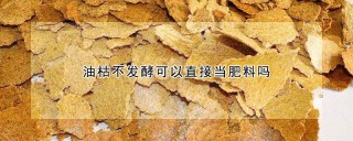 油枯不发酵可以直接当肥料吗,第1图