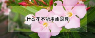 什么花不能用蚯蚓粪,第1图