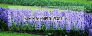 蓝色风信子的花语是什么,第1图