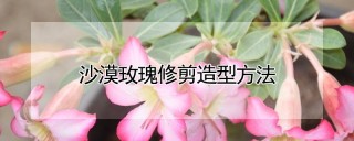 沙漠玫瑰修剪造型方法,第1图