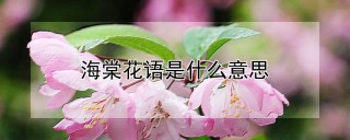 海棠花语是什么意思,第1图