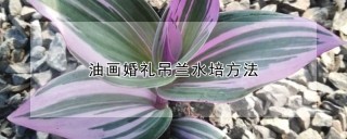 油画婚礼吊兰水培方法,第1图