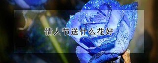 情人节送什么花好,第1图