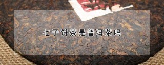 七子饼茶是普洱茶吗,第1图