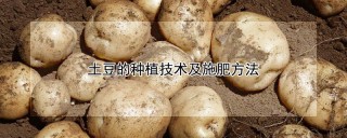 土豆的种植技术及施肥方法,第1图