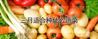 三月适合种什么蔬菜,第1图