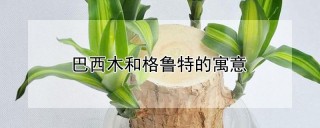 巴西木和格鲁特的寓意,第1图