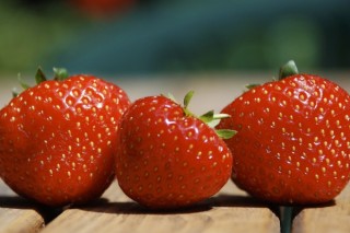 草莓什么时候种植最好 草莓的种植技术与管理,第3图