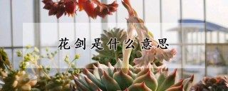 花剑是什么意思,第1图