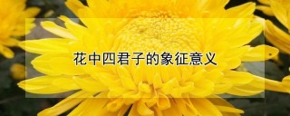 花中四君子的象征意义,第1图