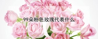 99朵粉色玫瑰代表什么,第1图