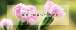 11朵康乃馨花语代表什么,第1图