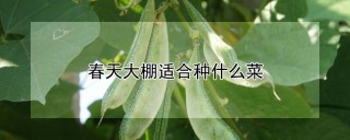 春天大棚适合种什么菜,第1图