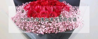 11朵红玫瑰加满天星的花语,第1图