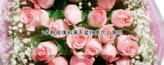 9朵粉玫瑰和满天星代表什么意思,第1图