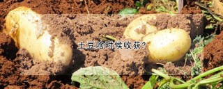 土豆啥时候收获?,第1图