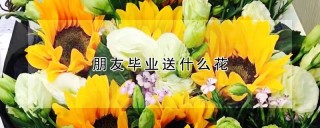 朋友毕业送什么花,第1图