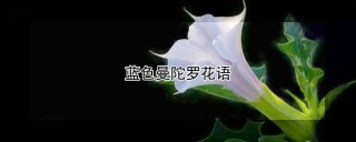 蓝色曼陀罗花语,第1图