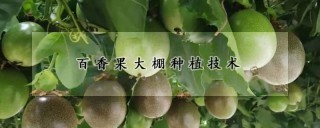 百香果大棚种植技术,第1图