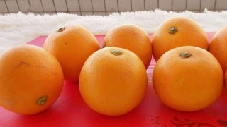 橙子皮如何做花肥,第1图