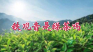 铁观音是绿茶吗,第1图