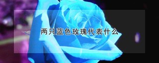 两只蓝色玫瑰代表什么,第1图