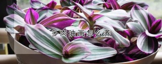 多肉油画怎么养,第1图