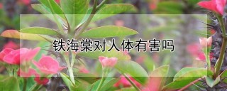 铁海棠对人体有害吗,第1图