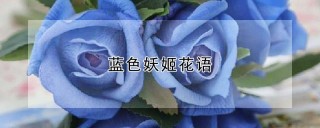 蓝色妖姬花语,第1图
