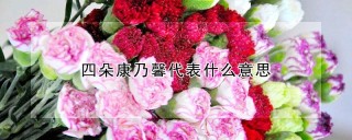 四朵康乃馨代表什么意思,第1图