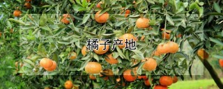 橘子产地,第1图
