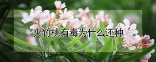 夹竹桃有毒为什么还种,第1图