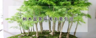 树木盆景病害主要包括,第1图