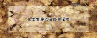 生姜发芽的温度和湿度,第1图