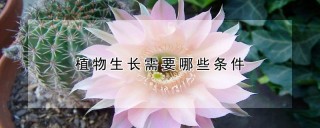 植物生长需要哪些条件,第1图